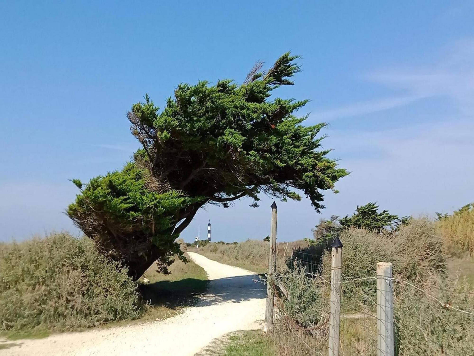 Les Hameaux Des Sables Vignie Saint Georges D Ol Ron Holiday Home Not Detached Εξωτερικό φωτογραφία