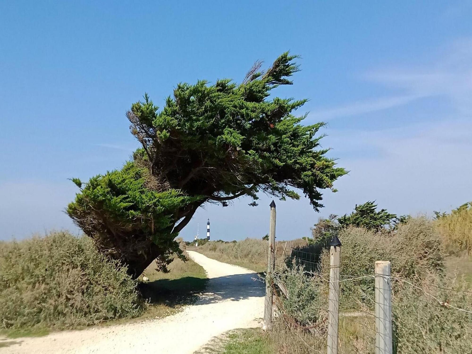 Les Hameaux Des Sables Vignie Saint Georges D Ol Ron Holiday Home Not Detached Εξωτερικό φωτογραφία